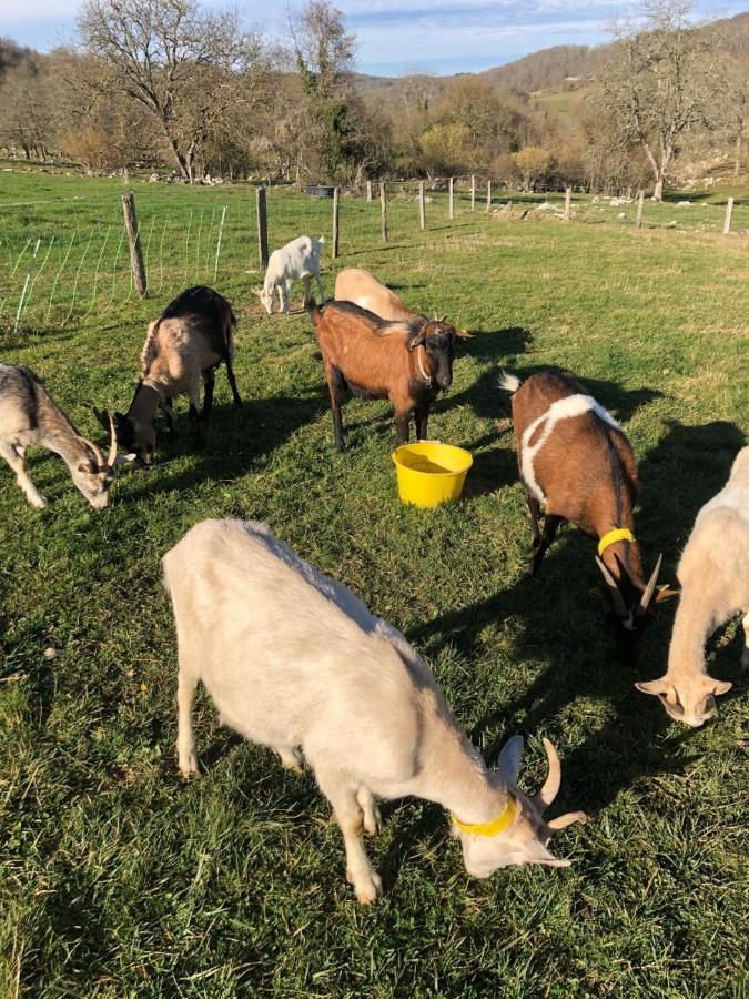 Chambre familiale à la ferme Montesquieu-Avantes Esterno foto